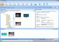 DVD Author Plus screenshot